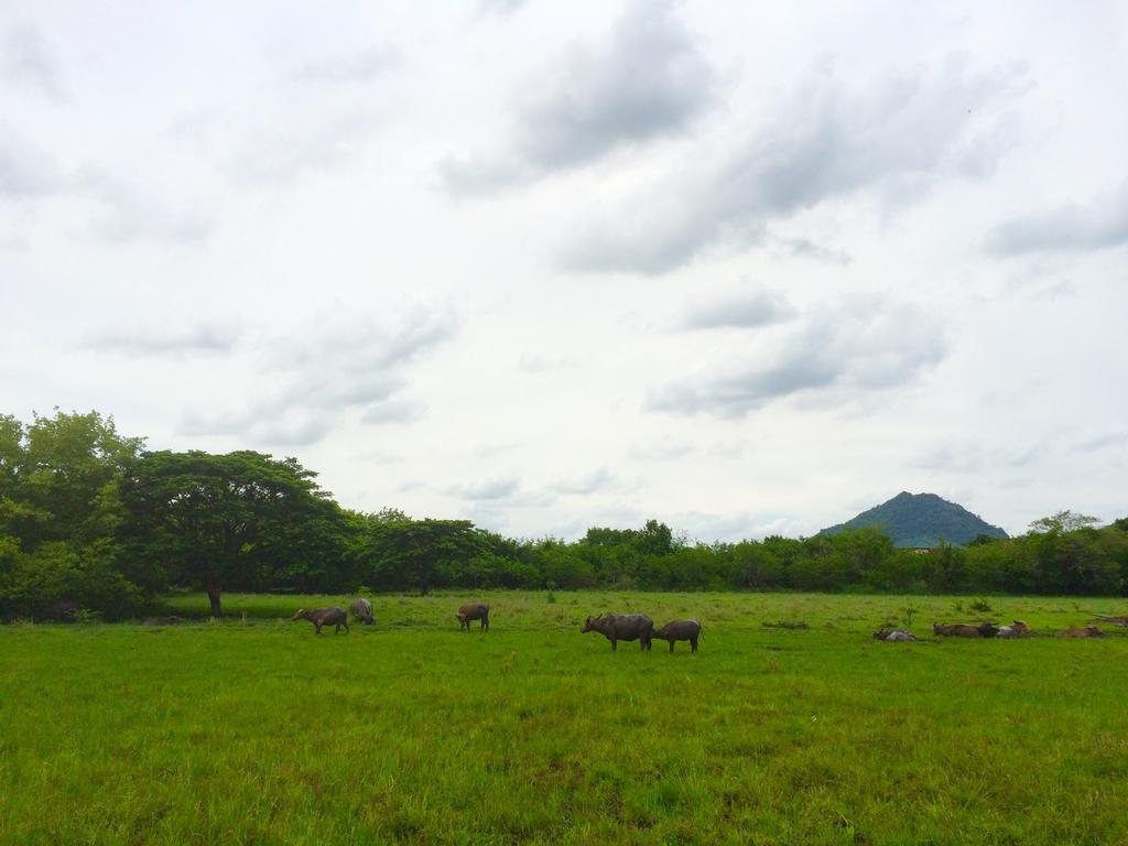 Wanlapa Farmstay Lopburi Exterior photo