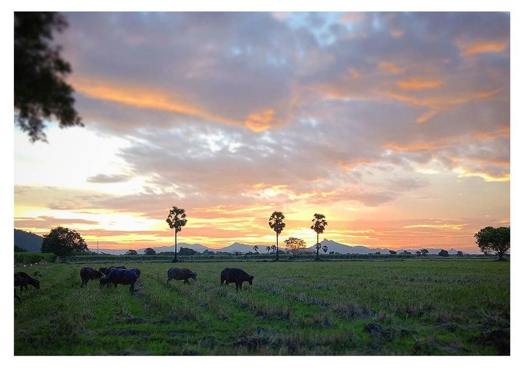 Wanlapa Farmstay Lopburi Exterior photo