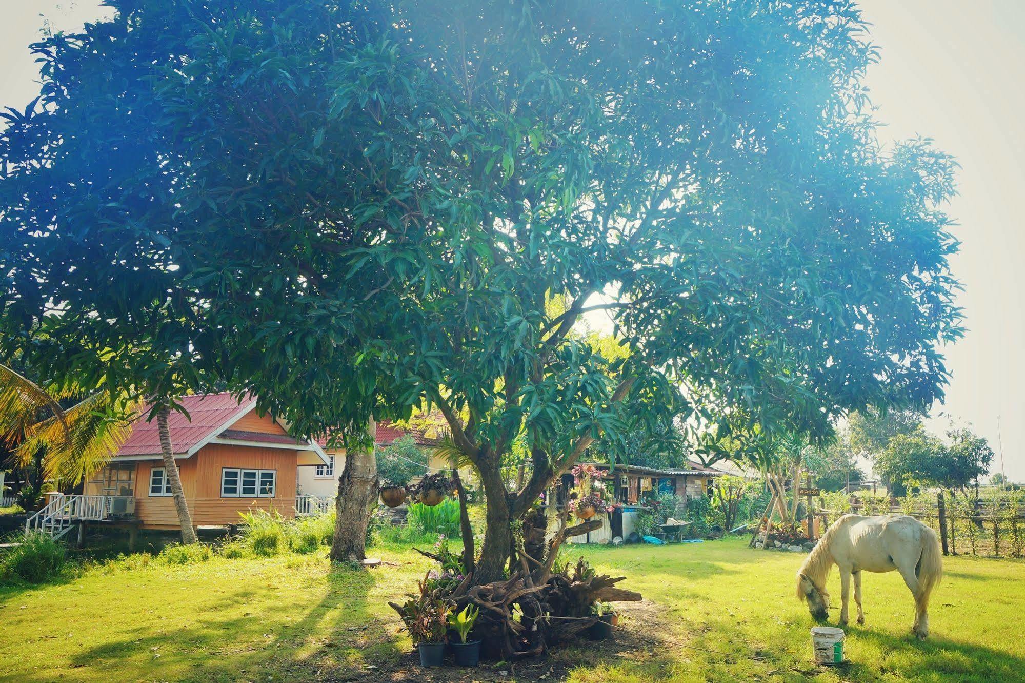 Wanlapa Farmstay Lopburi Exterior photo